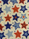 Stars and Stripes Layered Earrings